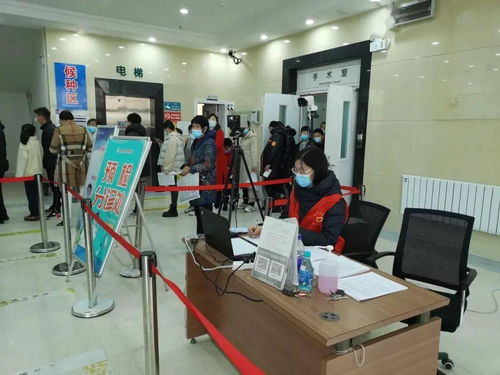 實驗小學教師疫苗接種志愿服務在行動 用專業守護健康，以咨詢傳遞關懷